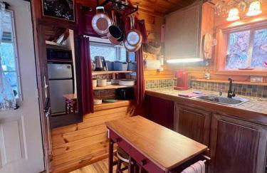 Private Mtn Love Shack w/ fast wifi, BBQ & view - Foto 19