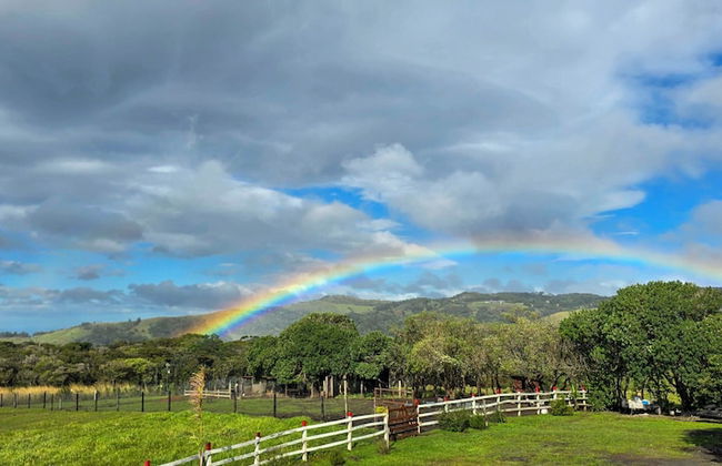 Almore Hotel - Foto 61