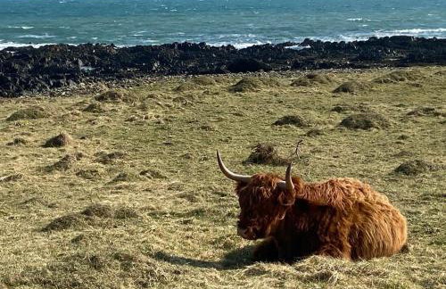 Little Twin View - Foto 18