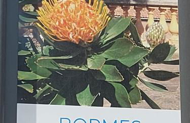 T2-CLIM-FIBRE-GARAGE 2,30 x 4,95 x 1,90 à LA FAVIERE - Foto 22