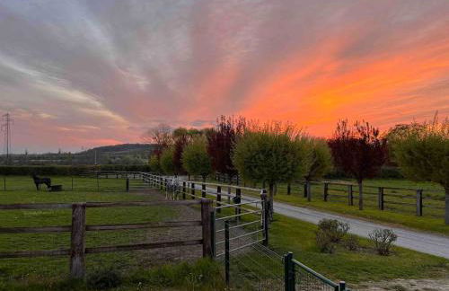 Gîte dans un petit haras - Foto 54