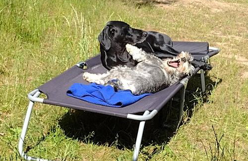 Domek Letniskowy ZŁOTY KARAŚ - Foto 37