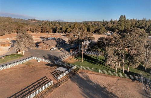 3 Wild Turkeys Family Friendly Home - Foto 41