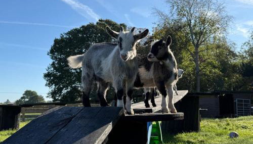 The Studio at Charter House Farm - Foto 2