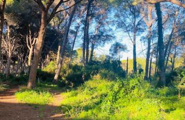 Cozy apartment close to the beach for 2 persons - Foto 10