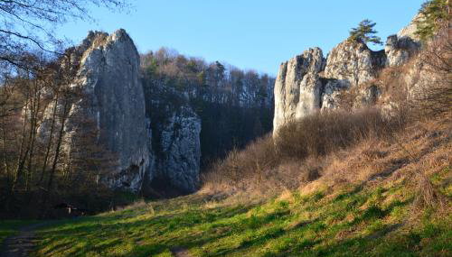 Leśna 6 - House with a garden - Foto 3