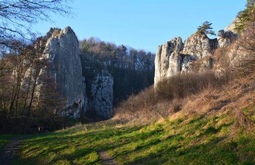 Leśna 6 - House with a garden - Foto 3