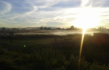 Apartment Vir with free private parking - Foto 22