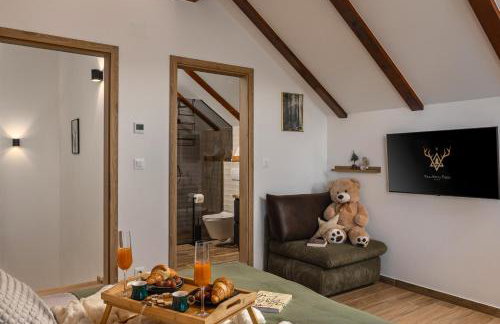 Villa Stella Verde - Wellness Villa with a swimming pool, hot tub and sauna - Foto 13