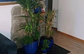 Apartament pod bukowym lasem - Foto 45