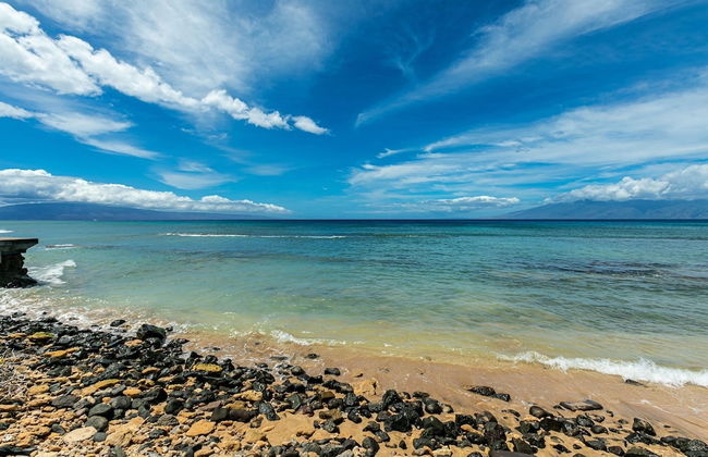 Nohonani 102 2 Bedroom Condo - Foto 35