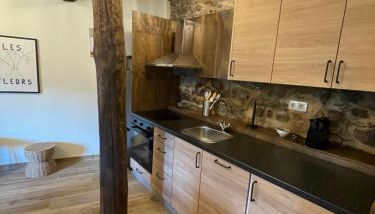 Ecolagar O Barqueiro - Foto 5