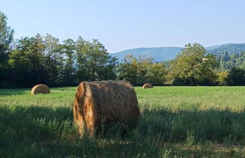 La Casetta di Noah - Foto 67