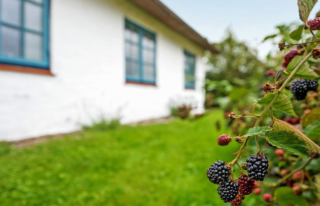 "Clausina" - 600m from the sea - Foto 8