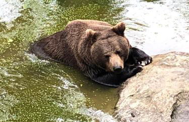 Ferienwohnung Eder - Foto 17
