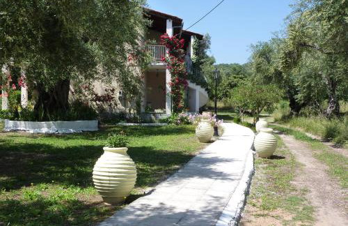 Petros Studios - Foto 16