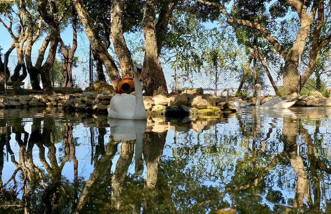 Natura Fun House & Camping - Foto 26