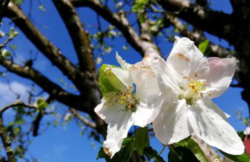 Odenwald Lounge im Naturpark Bergstraße-Odenwald - Photo 38