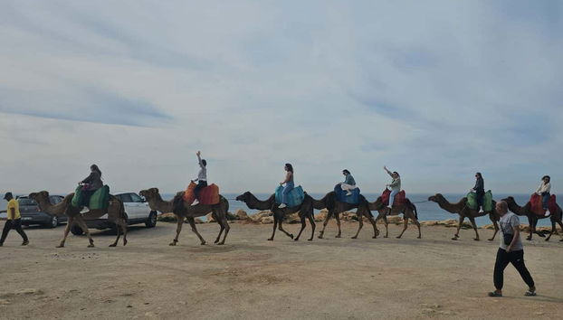 Promenade à dos de chameau autour du cap Espartel