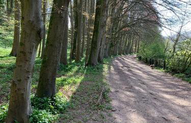 Greystones - Foto 34