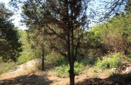 Secluded fisherman's cottage Cove Ripisce, Dugi otok - 394 - Foto 16