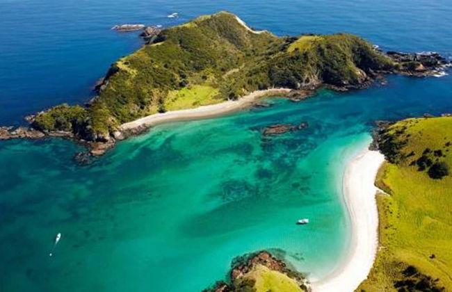 Escursione alla Bay of Islands - Foto 3