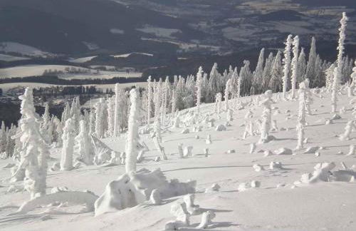 Gästehaus Schmalzreich - Foto 30