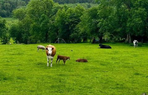 Sidhe Stays Ballycastle - Foto 11