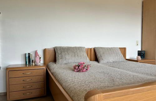 Appart am Hang mit Alpenblick - Foto 1