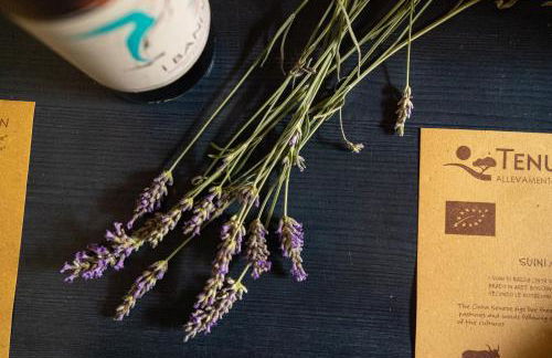 Tenuta di Paganico - I Roggeti - Foto 10