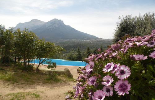 Villa L'Oleandro - Foto 6