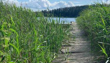Sidorówka nad Wigrami - Foto 3