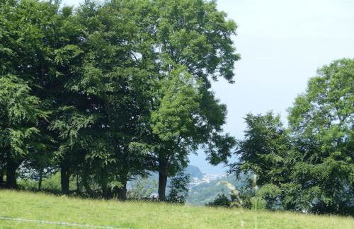 Bramble Cottage on the edge of Exmoor - Foto 23