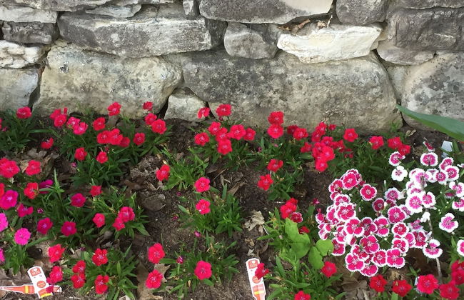 Cherokee mountain log cabin resort - Foto 58