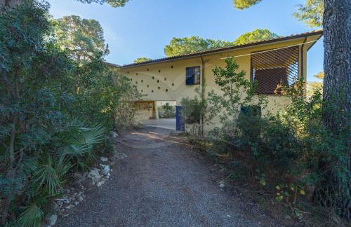 Villa Madonna delle Grazie con accesso privato al mare - Goelba - Foto 56