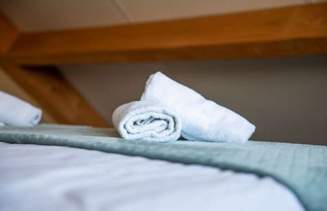 Tranquil Holiday Home in Alphen-chaam With Stables - Foto 33