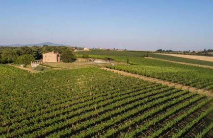 Villa Boschi Salviati - Foto 42