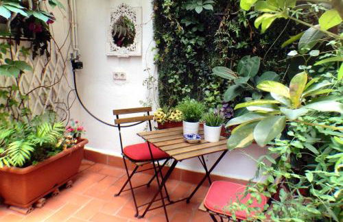 Casa Tortilla Gracia - Photo 36