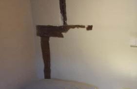 Les Hirondelles - Foto 8