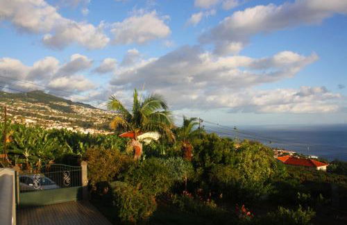 Lugar dos Louros 2 - Foto 2