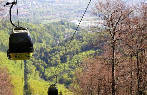 Apartamenty pod Dębami - Photo 49