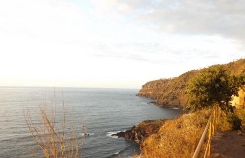 Banana Paradise - Foto 45