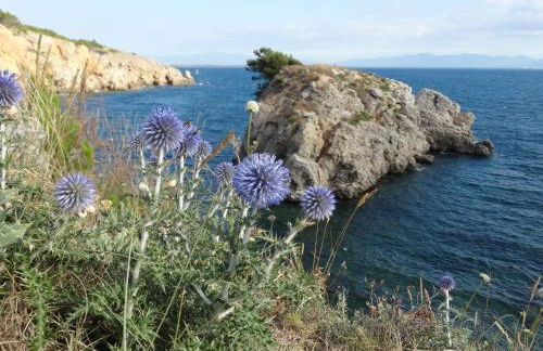 Apartamento Punta Montgo Port de Rei - Foto 1