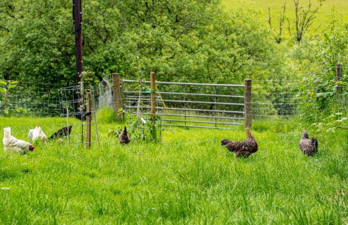 Brynarth Country Cottages - Foto 13