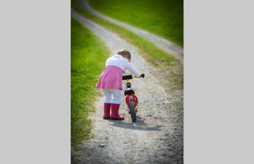 5Sterne Ferienwohnung im Fachwerk mit Bergblick in Alleinlage und großem Garten, Infrarotkabine - Foto 41