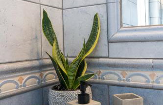 Olive Apartment Crete - Foto 56