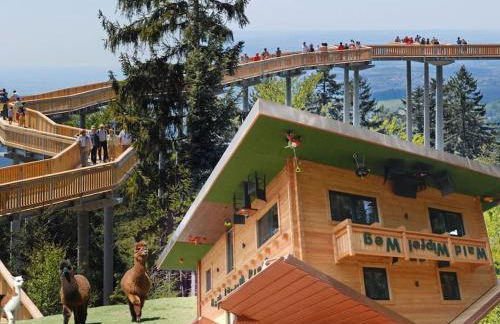 Bungalow direkt am See, mit eigenem Boot - Foto 46