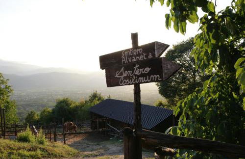 Fattoria Alvaneta - Foto 18