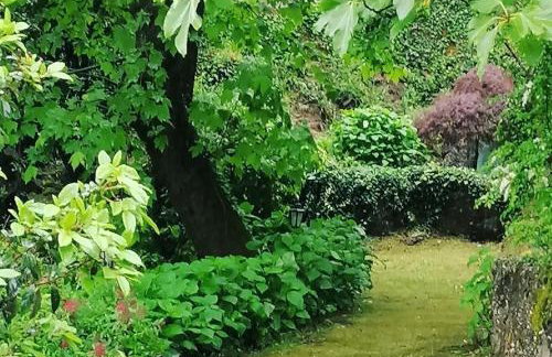 Gerês - Refúgio das Laranjeiras - Foto 10