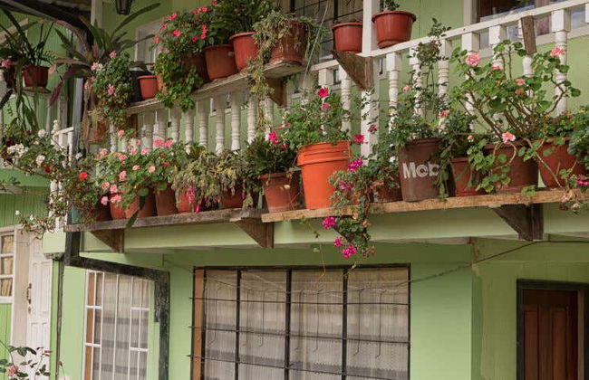 Excursión a Baeza y Puerto Misahuallí - Foto 1